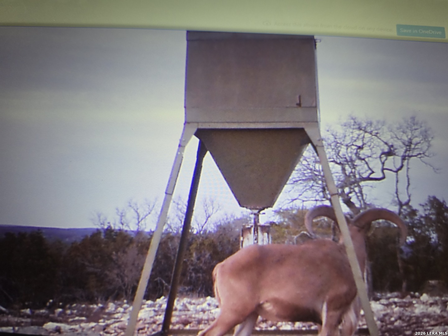 TBD SD 52800, Rocksprings, TX 78880
