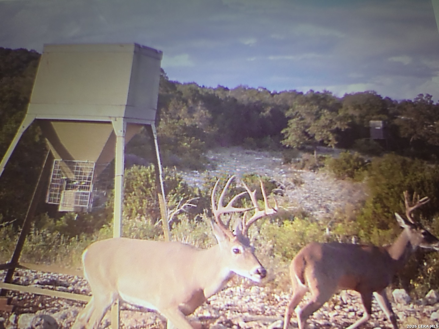 TBD SD 52800, Rocksprings, TX 78880