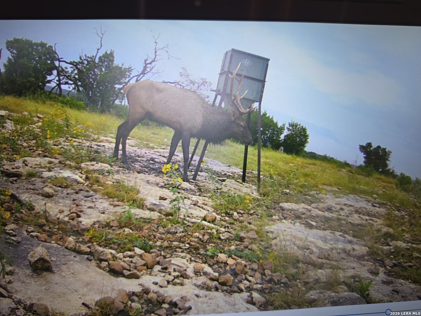 TBD SD 52800, Rocksprings, TX 78880