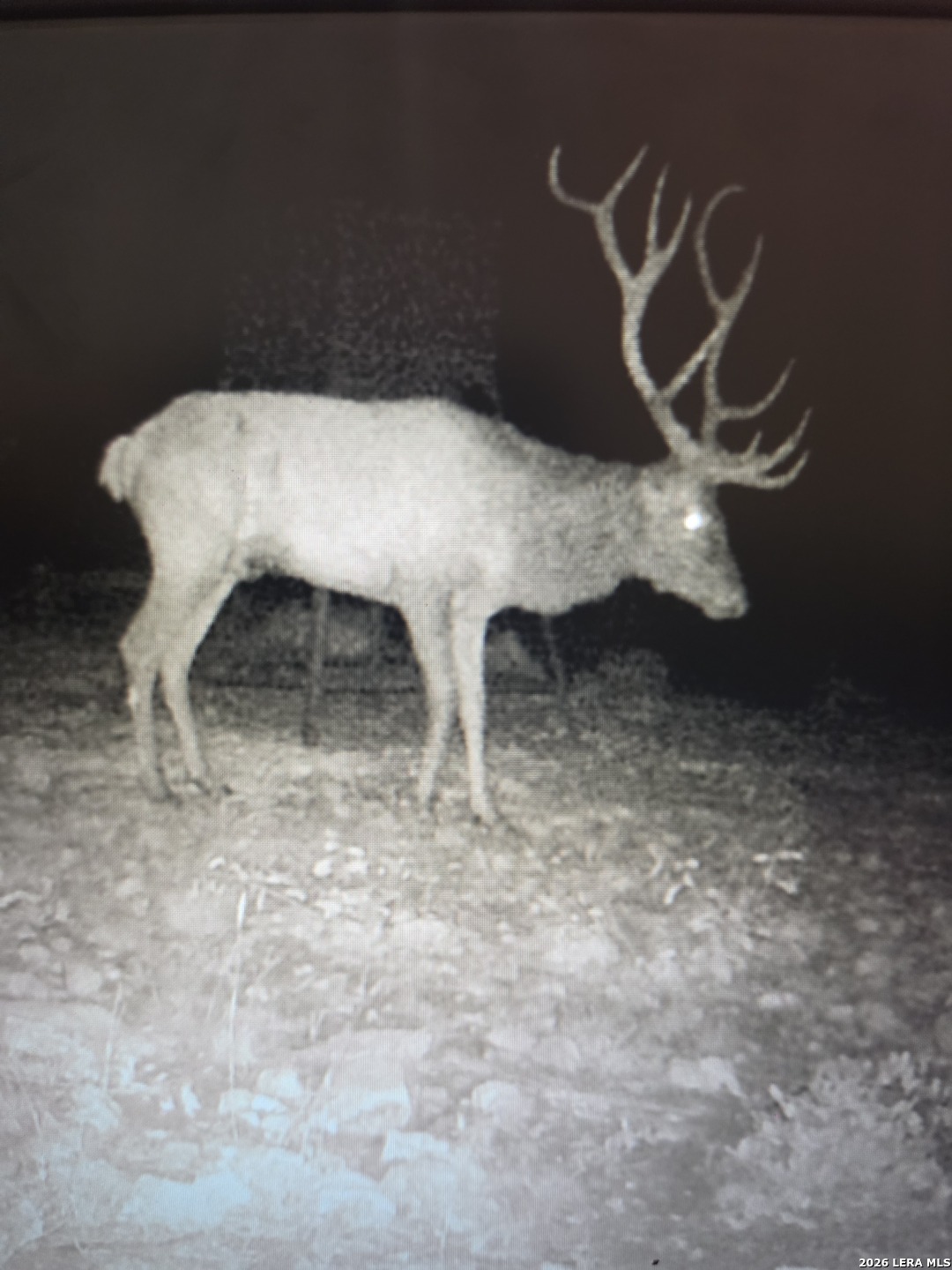 TBD SD 52800, Rocksprings, TX 78880