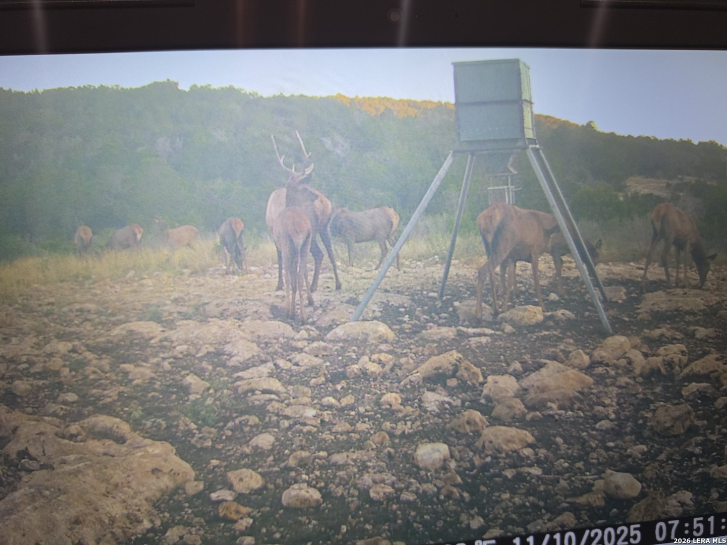 TBD SD 52800, Rocksprings, TX 78880