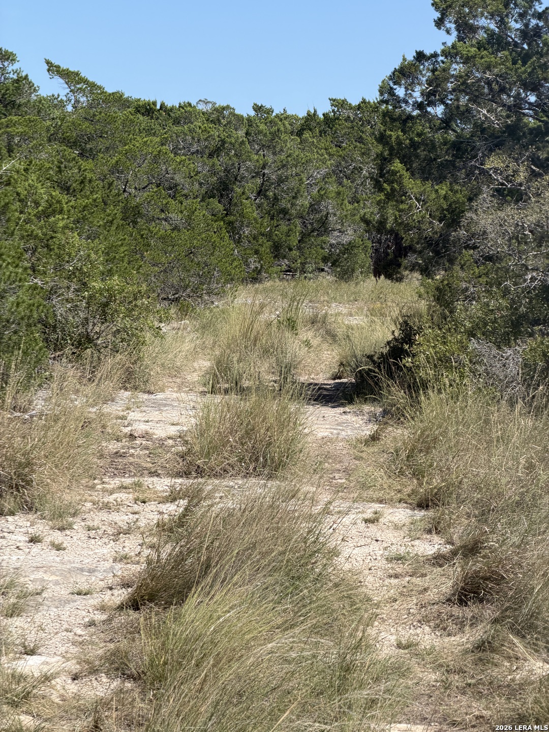TBD SD 52800, Rocksprings, TX 78880