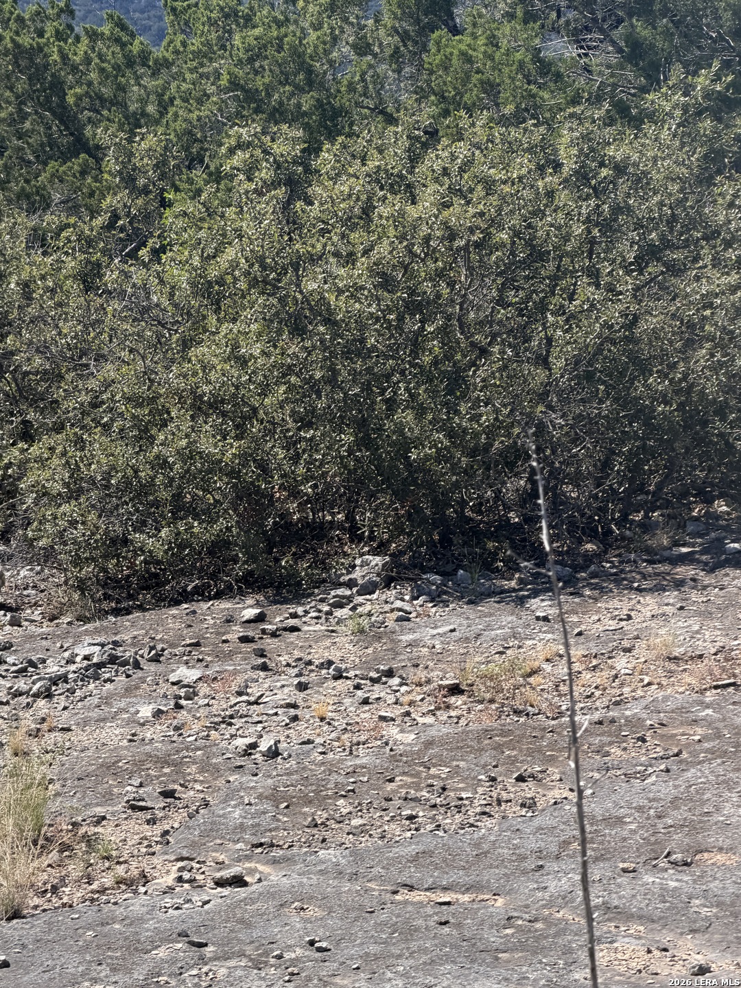 TBD SD 52800, Rocksprings, TX 78880