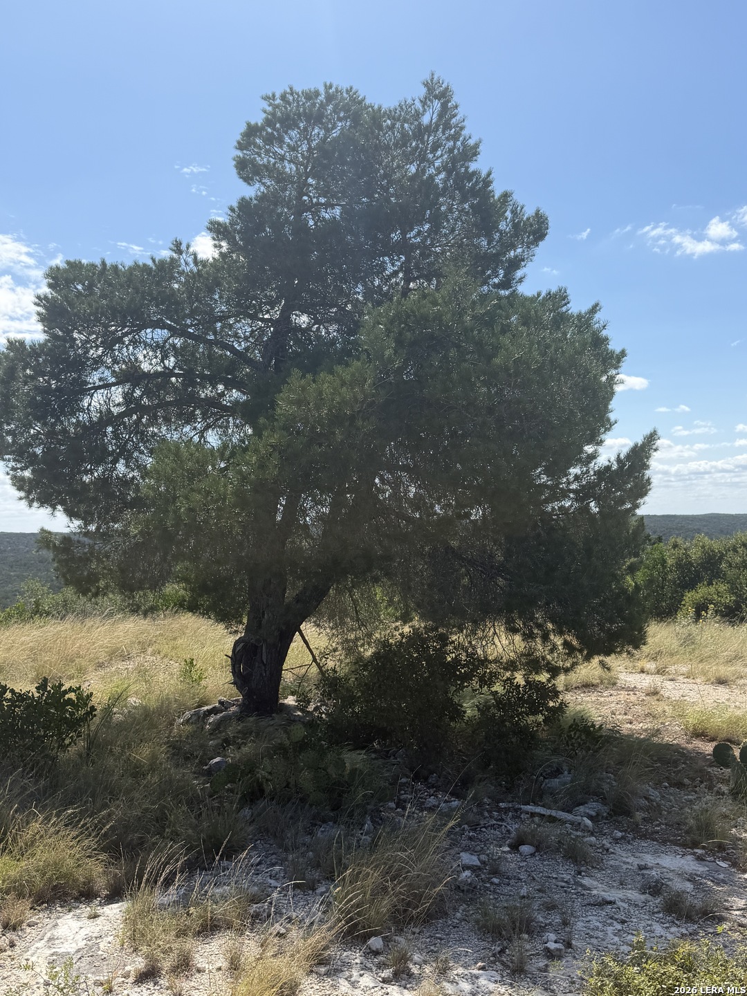 TBD SD 52800, Rocksprings, TX 78880