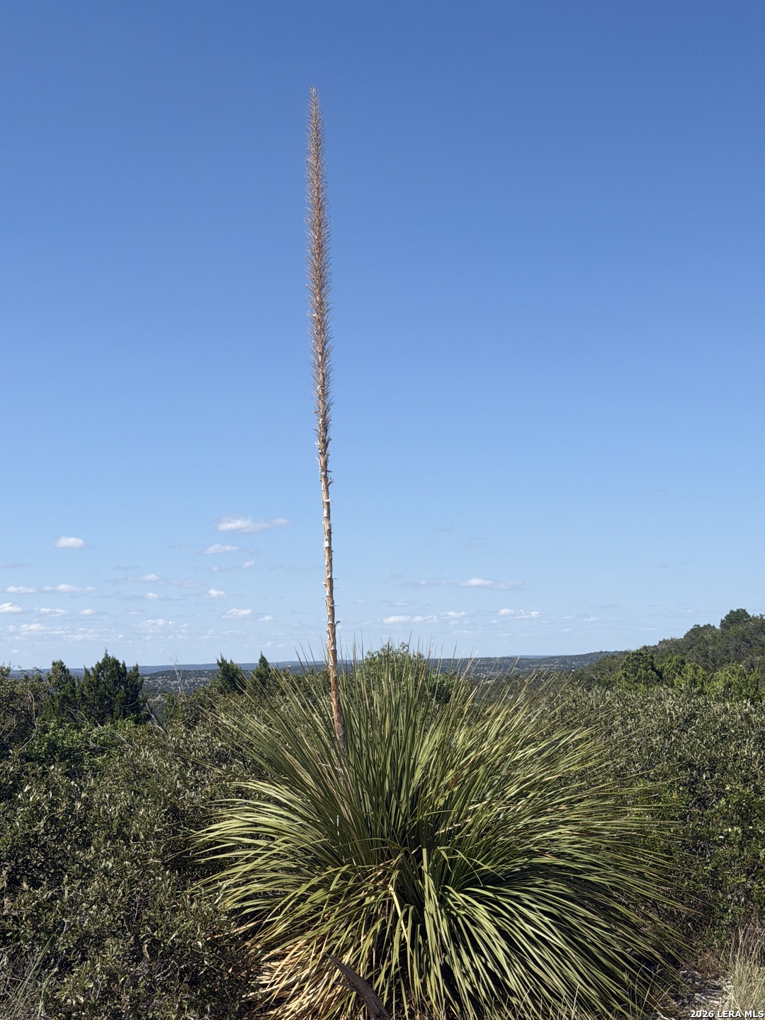 TBD SD 52800, Rocksprings, TX 78880