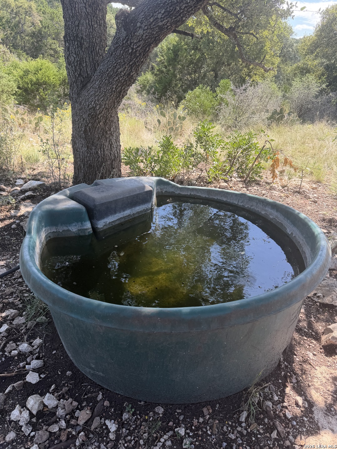 TBD SD 52800, Rocksprings, TX 78880