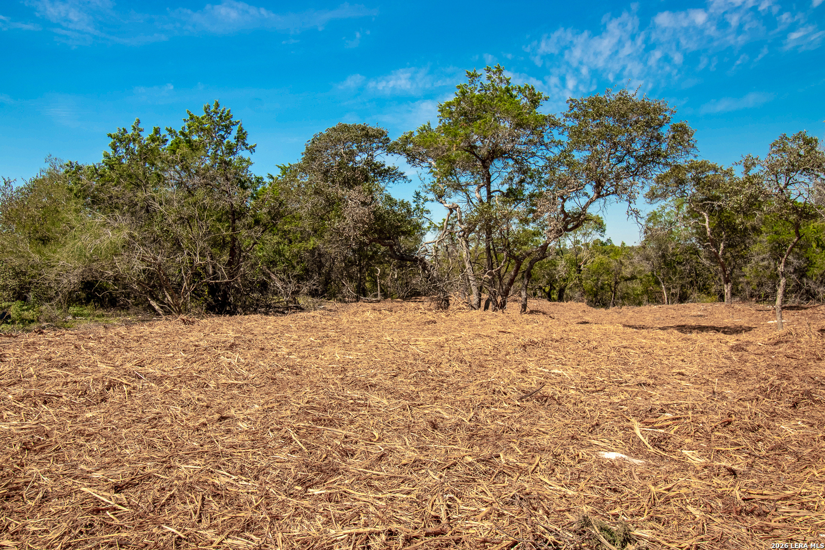 345 HORSESHOE TRAK, Spring Branch, TX 78070