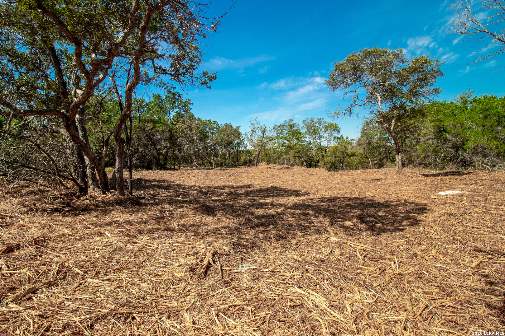 345 HORSESHOE TRAK, Spring Branch, TX 78070