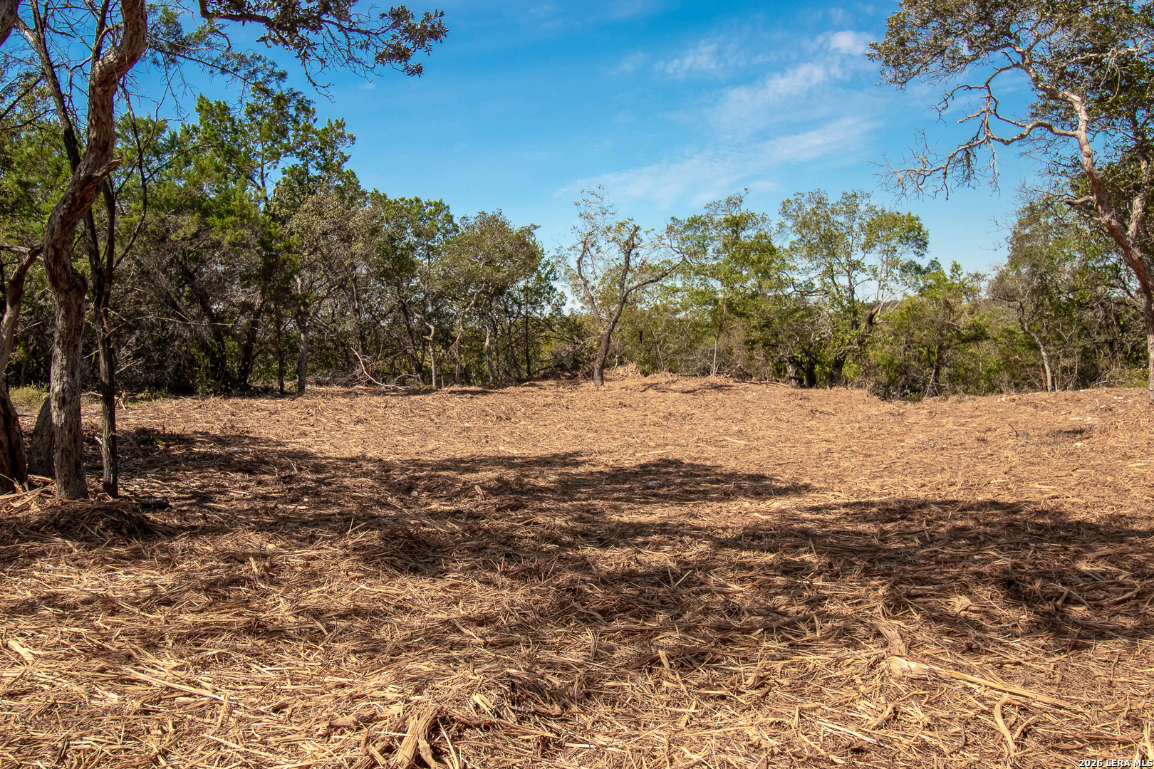 345 HORSESHOE TRAK, Spring Branch, TX 78070