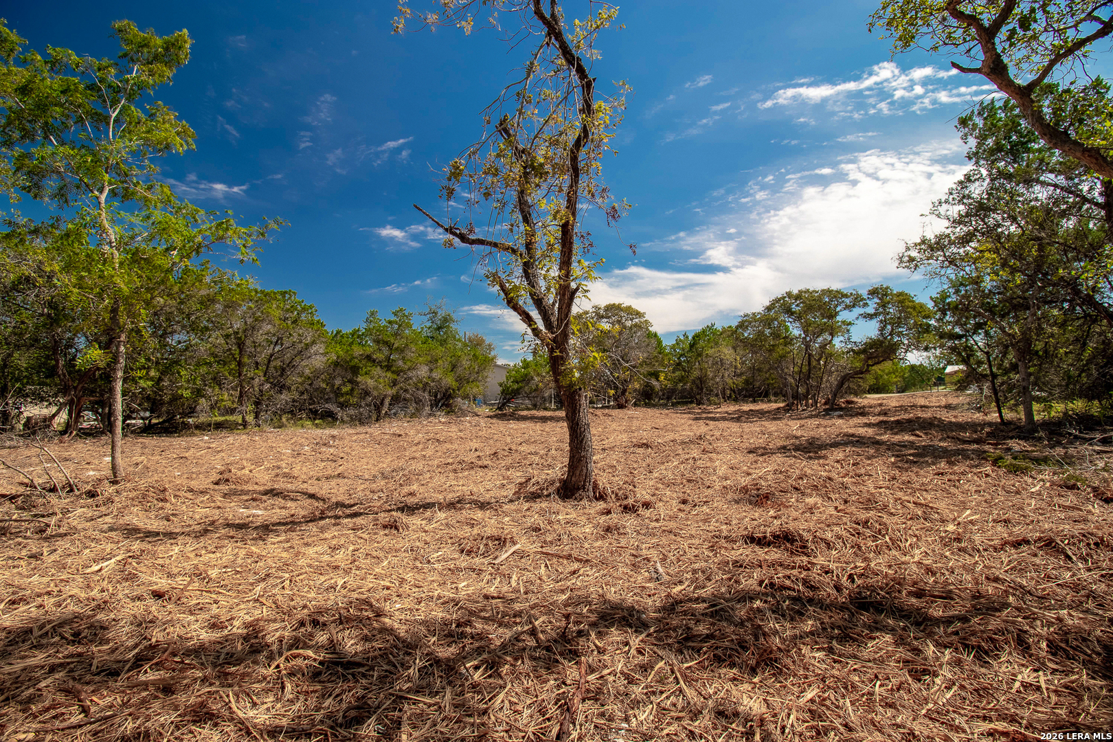 345 HORSESHOE TRAK, Spring Branch, TX 78070