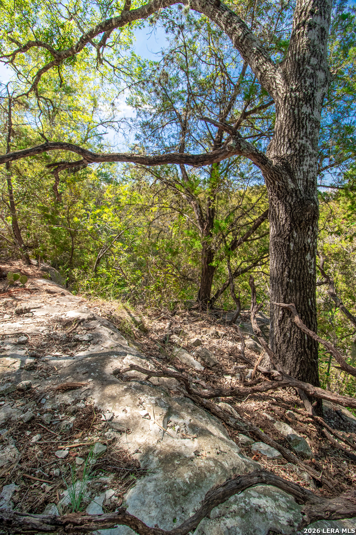 345 HORSESHOE TRAK, Spring Branch, TX 78070