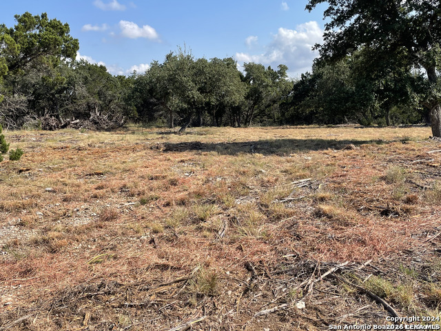 276 Kellog, Fischer, TX 78623