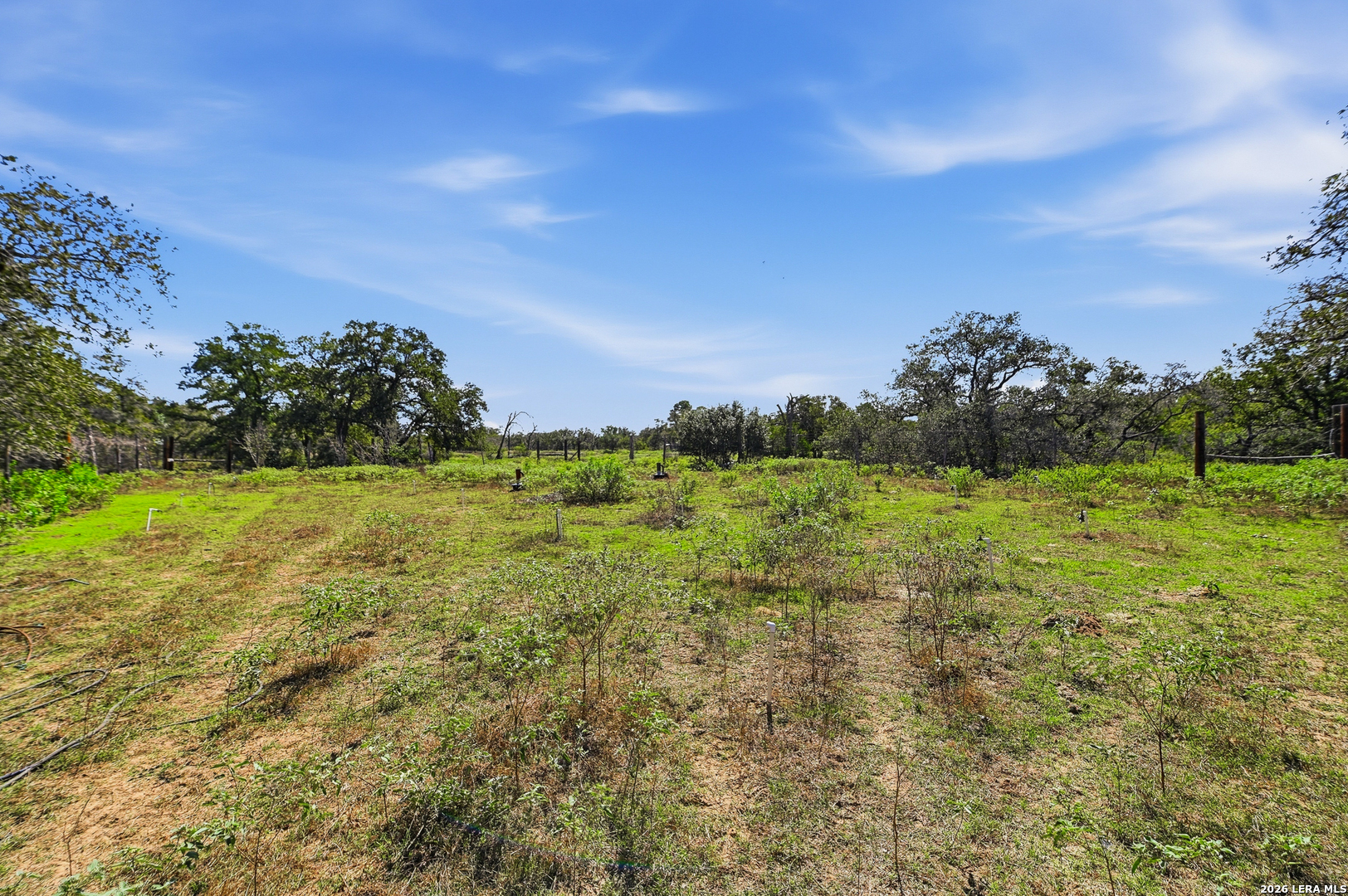 3001 Curry, Seguin, TX 78155