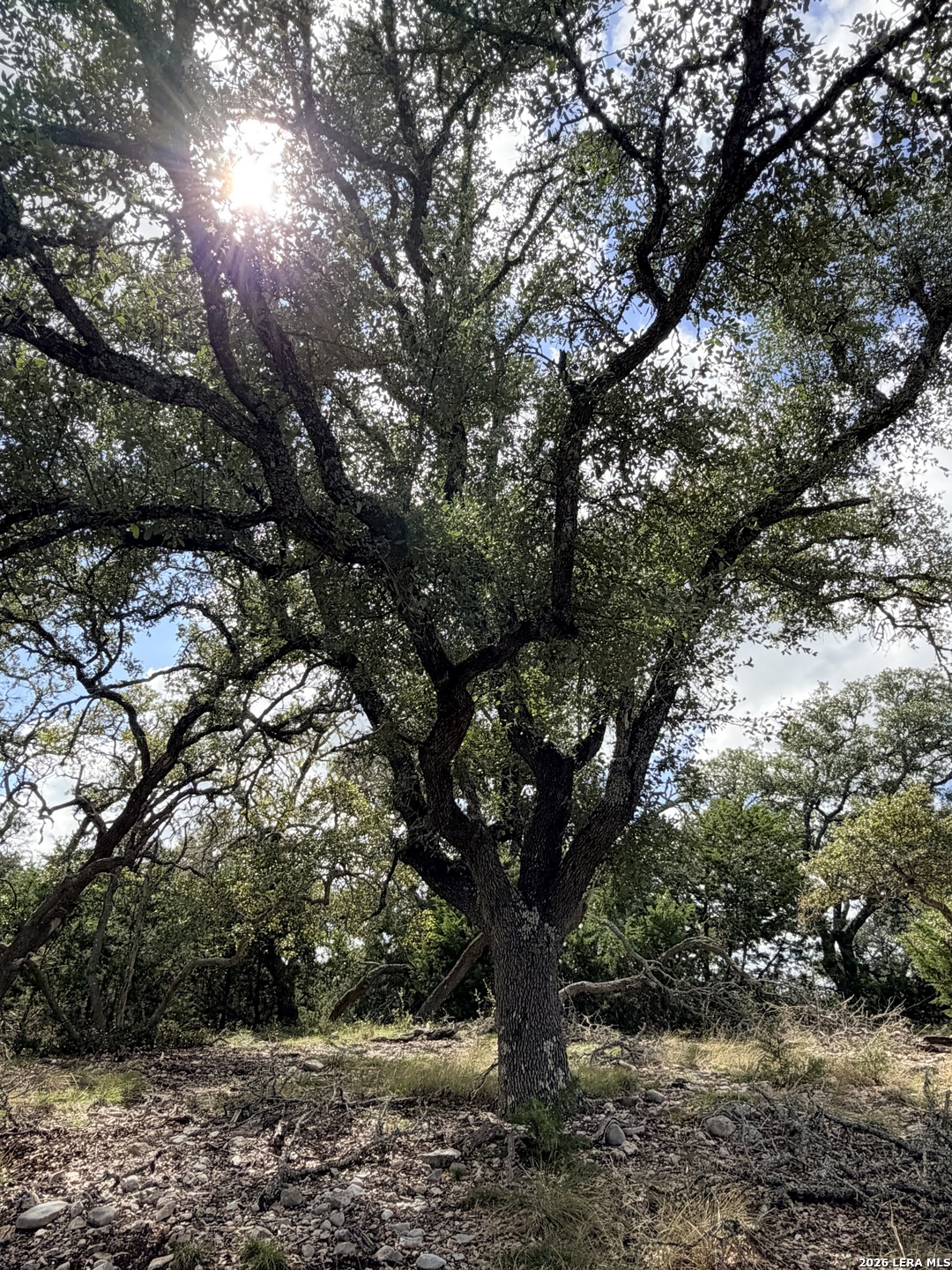 0 Vanguard Ridge Rd, Fredericksburg, TX 78624