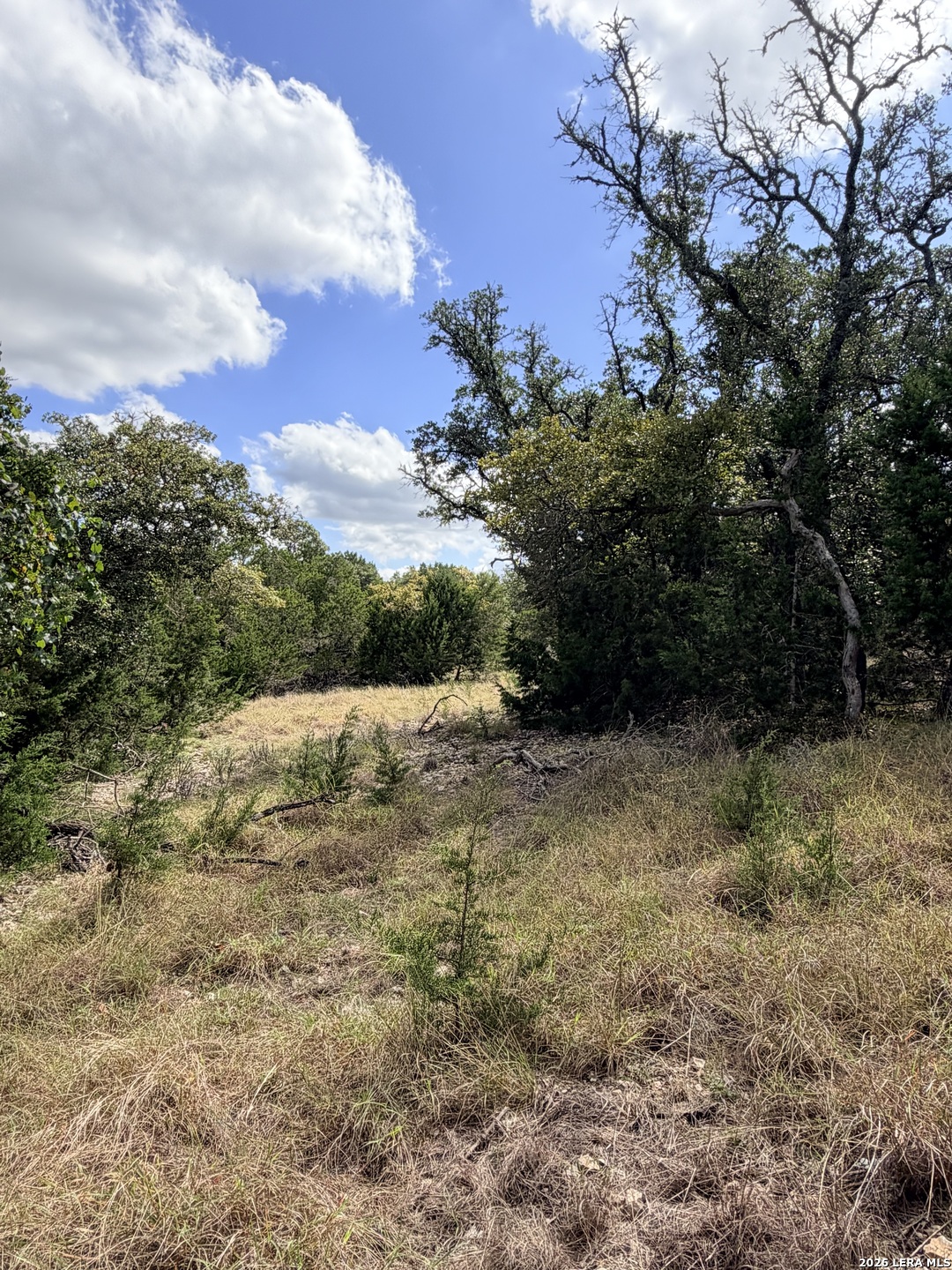 0 Vanguard Ridge Rd, Fredericksburg, TX 78624