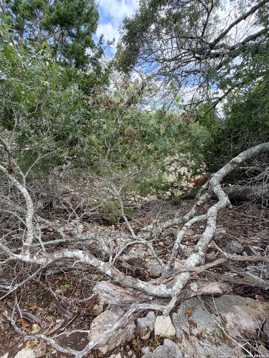 0 Vanguard Ridge Rd, Fredericksburg, TX 78624