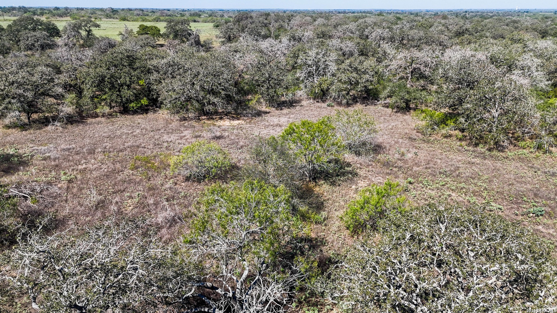 2296 Zion Hill Road (Tract 3), Seguin, TX 78155