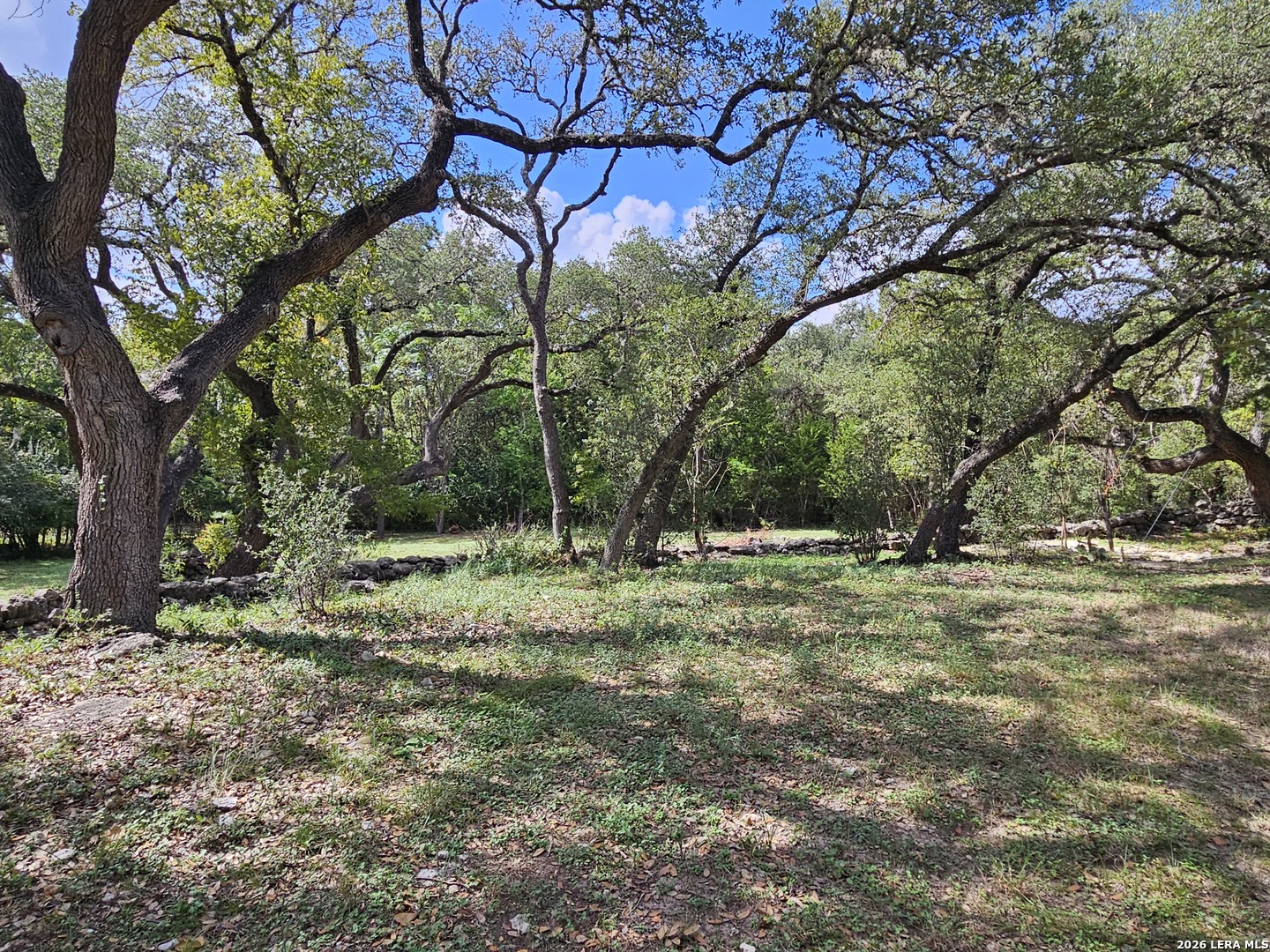 1648 Lake, Spring Branch, TX 78070