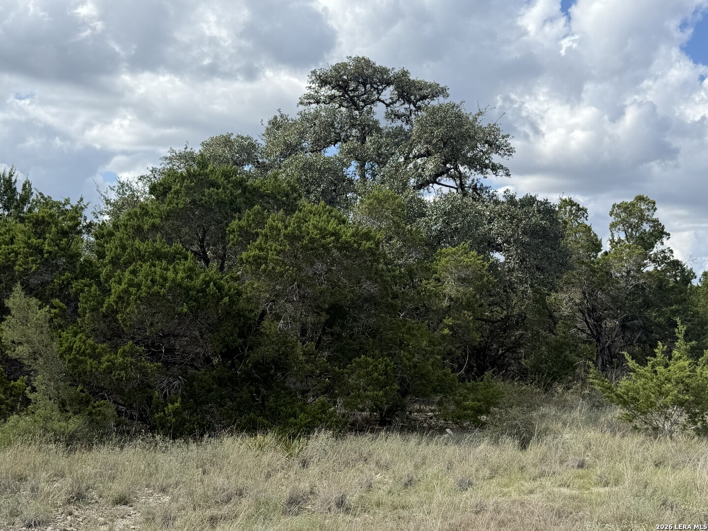 Property photo for 233 ROSINWEED DR, Spring Branch, TX