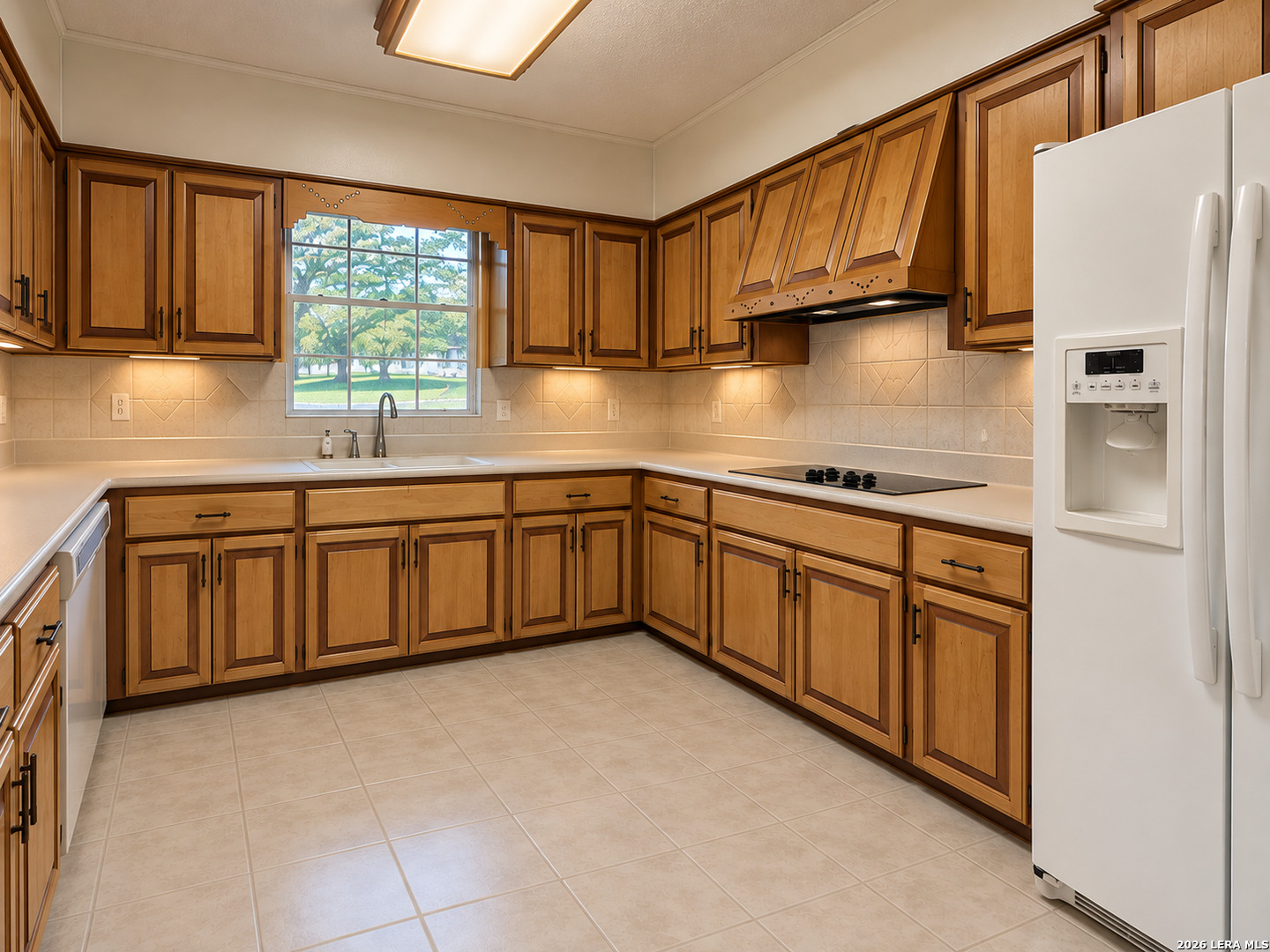 228 Sagecrest Dr, Hollywoodpark, TX 78232