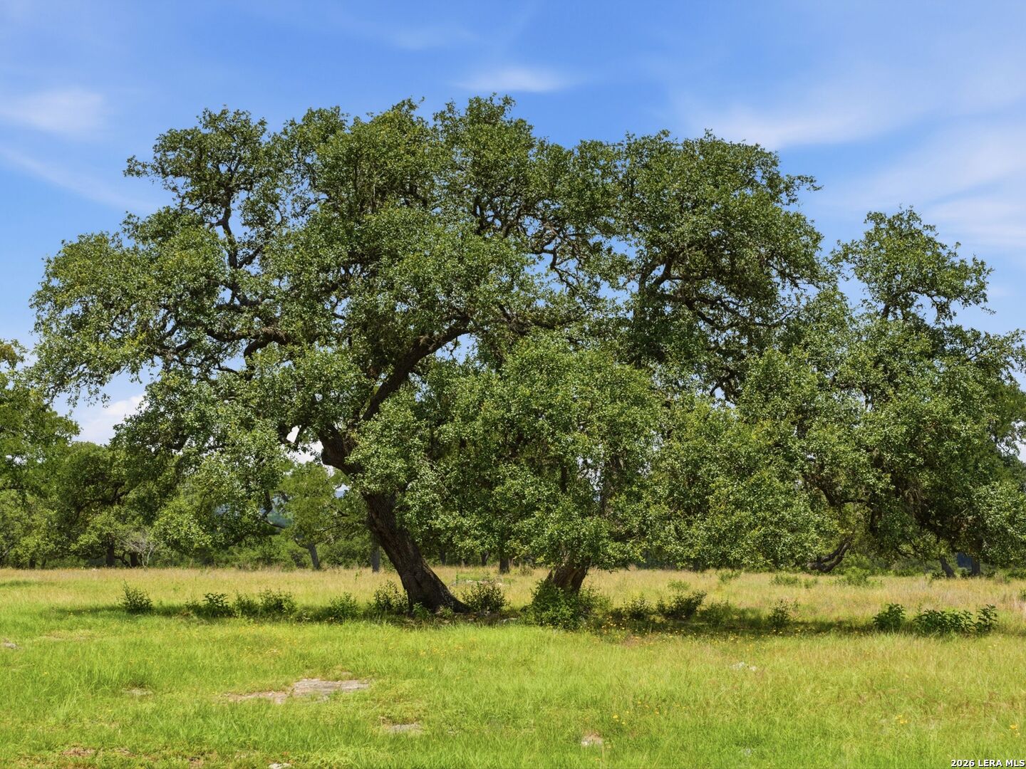 820 Fm 3351, Boerne, TX 78006