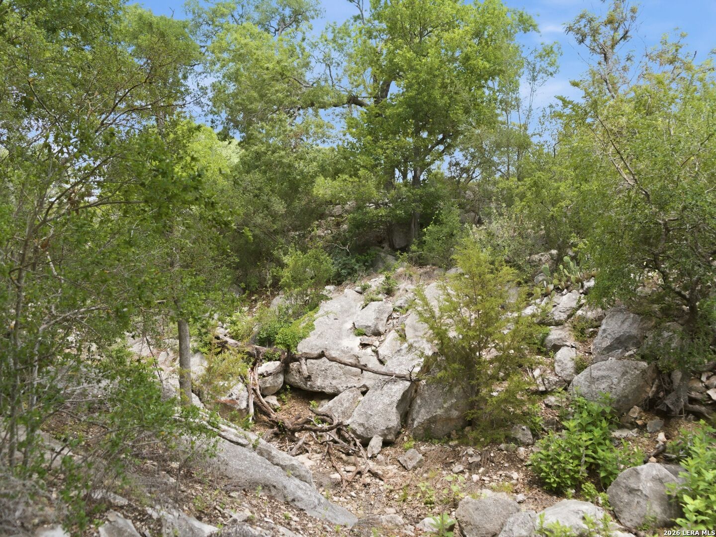 820 Fm 3351, Boerne, TX 78006