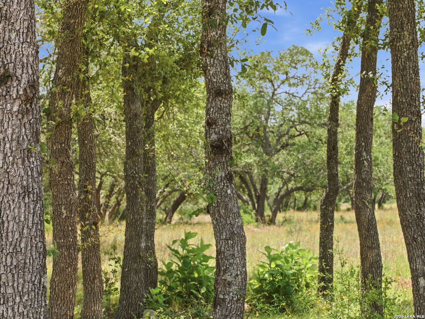 820 Fm 3351, Boerne, TX 78006