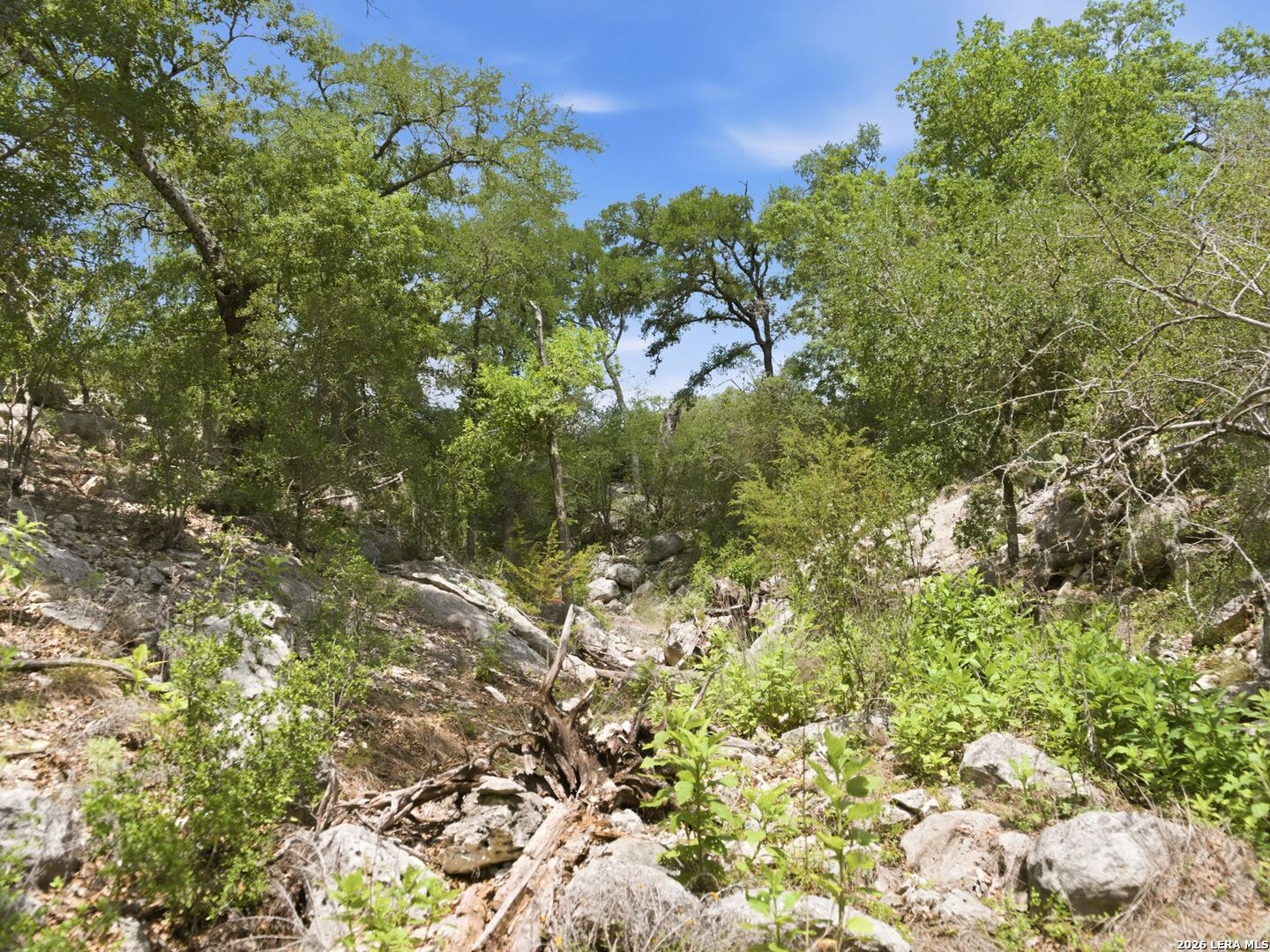 820 Fm 3351, Boerne, TX 78006