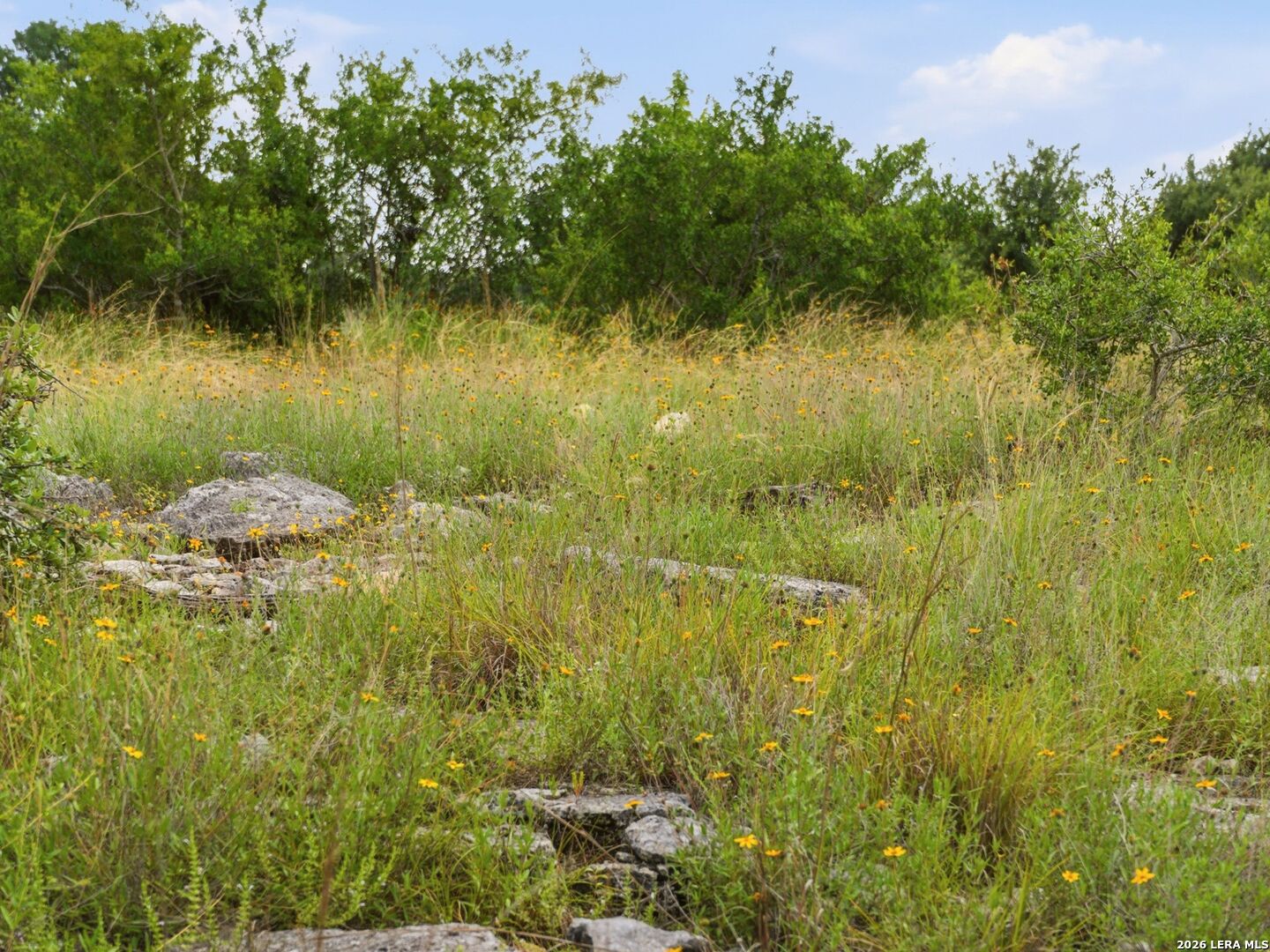 820 Fm 3351, Boerne, TX 78006