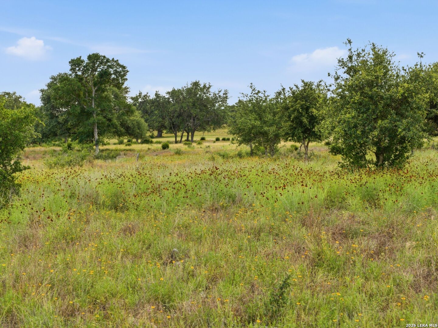 820 Fm 3351, Boerne, TX 78006