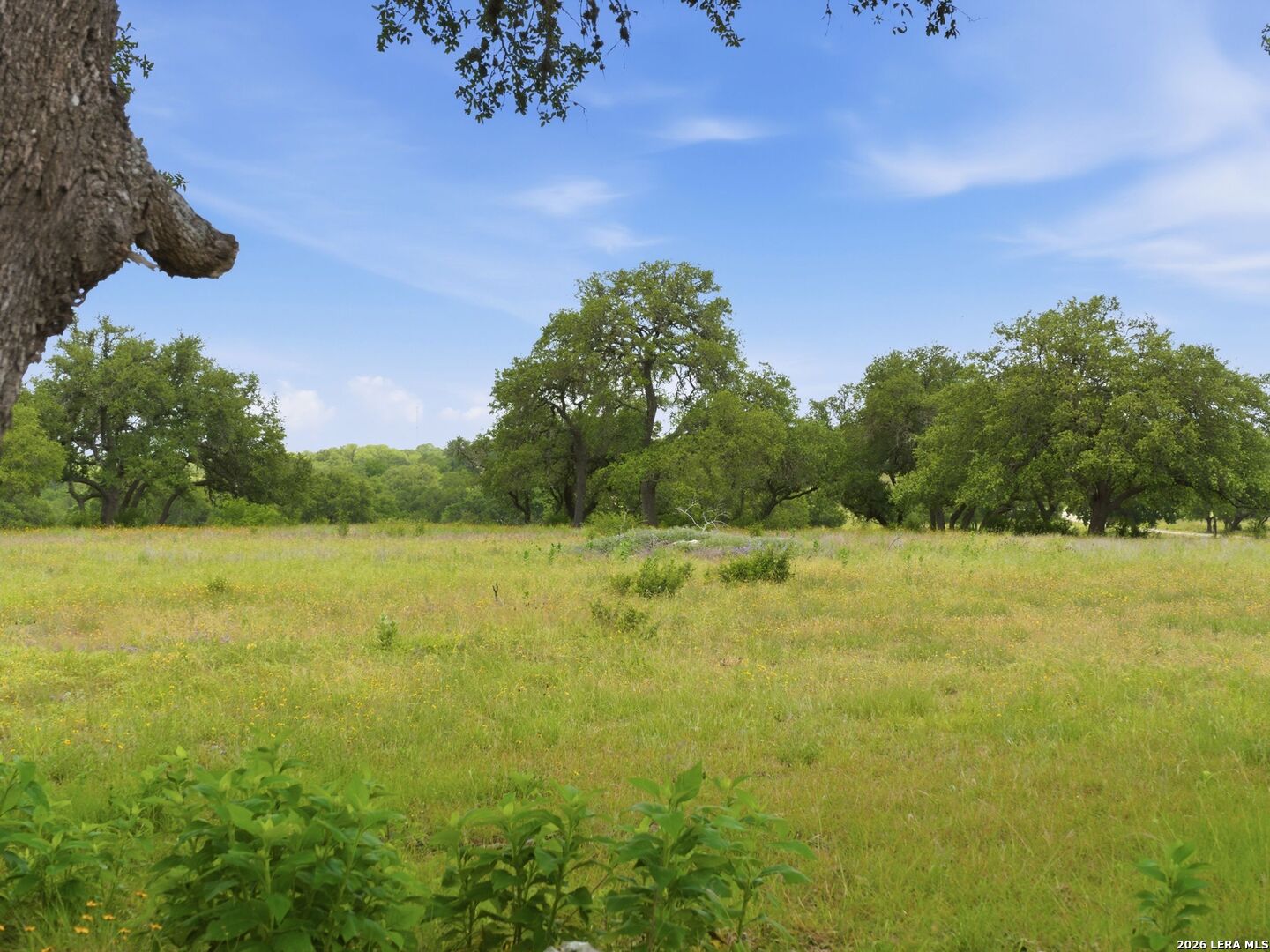 820 Fm 3351, Boerne, TX 78006