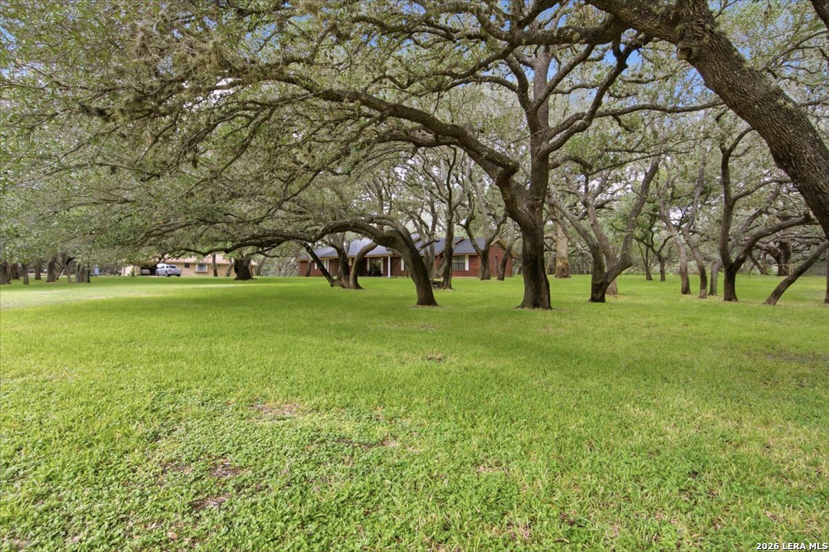 117 Oak Fields Dr, Floresville, TX 78114