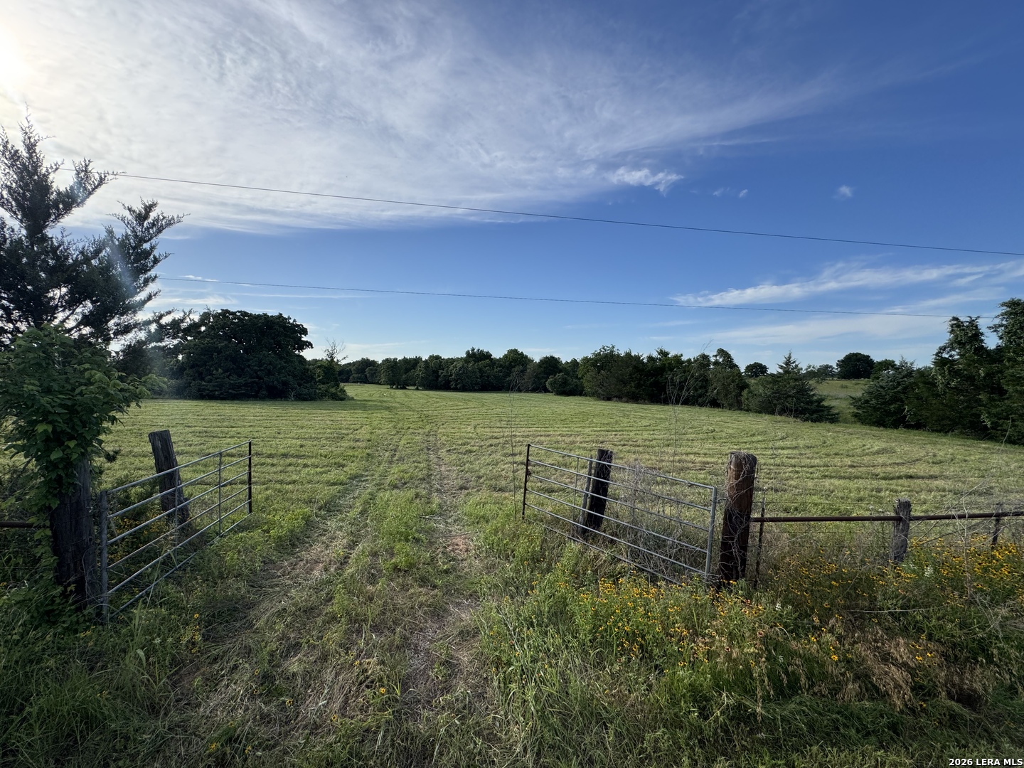 Property photo for TRACT 6 George Wachel Rd, Bremond, TX