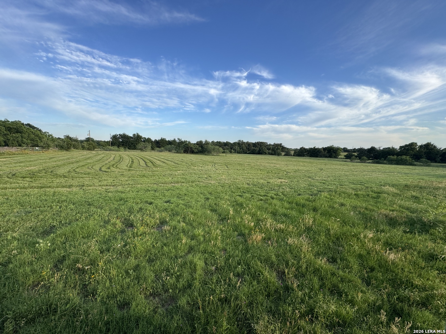TRACT 6 George Wachel Rd, Bremond, TX 76629
