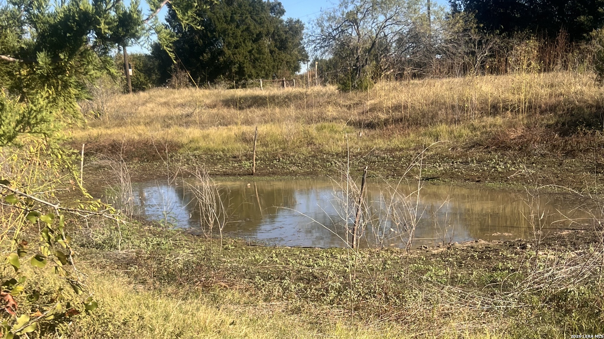 TRACT 6 George Wachel Rd, Bremond, TX 76629