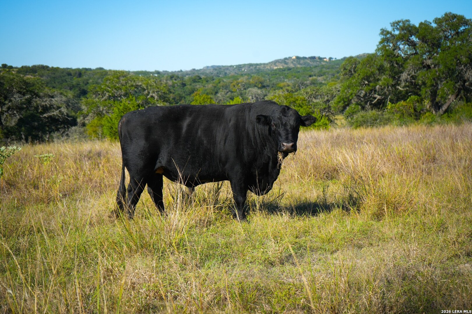 507 Upper Sisterdale Rd, Boerne, TX 78006