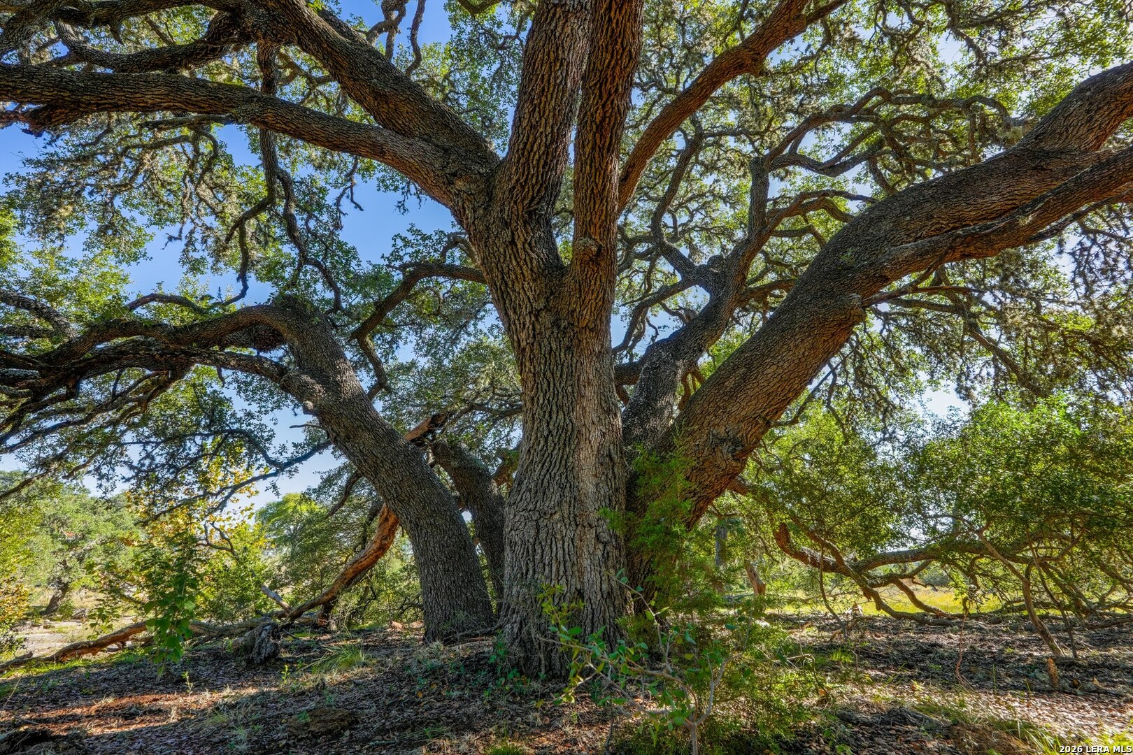 507 Upper Sisterdale Rd, Boerne, TX 78006