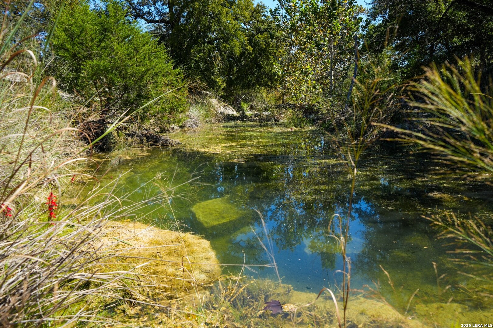 507 Upper Sisterdale Rd, Boerne, TX 78006