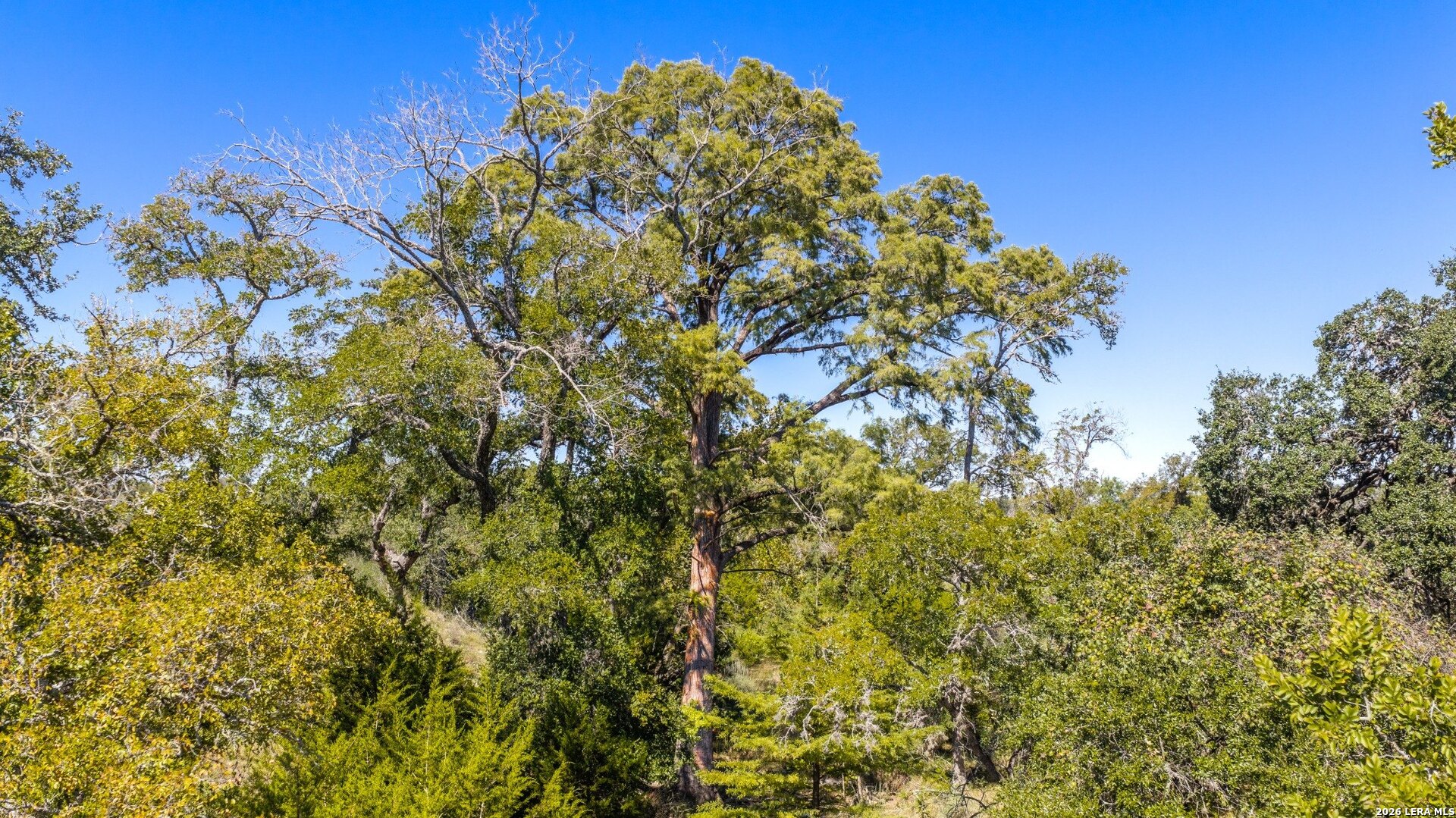 507 Upper Sisterdale Rd, Boerne, TX 78006