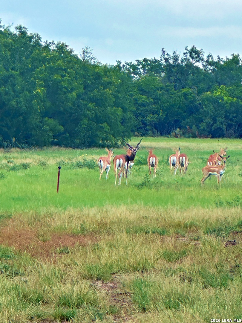 830 County Road 339, Jourdanton, TX 78026