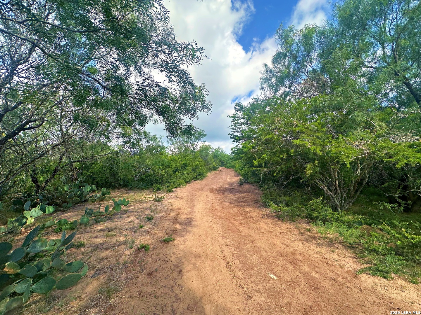 830 County Road 339, Jourdanton, TX 78026