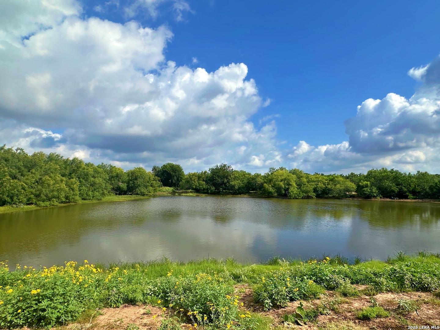 830 County Road 339, Jourdanton, TX 78026