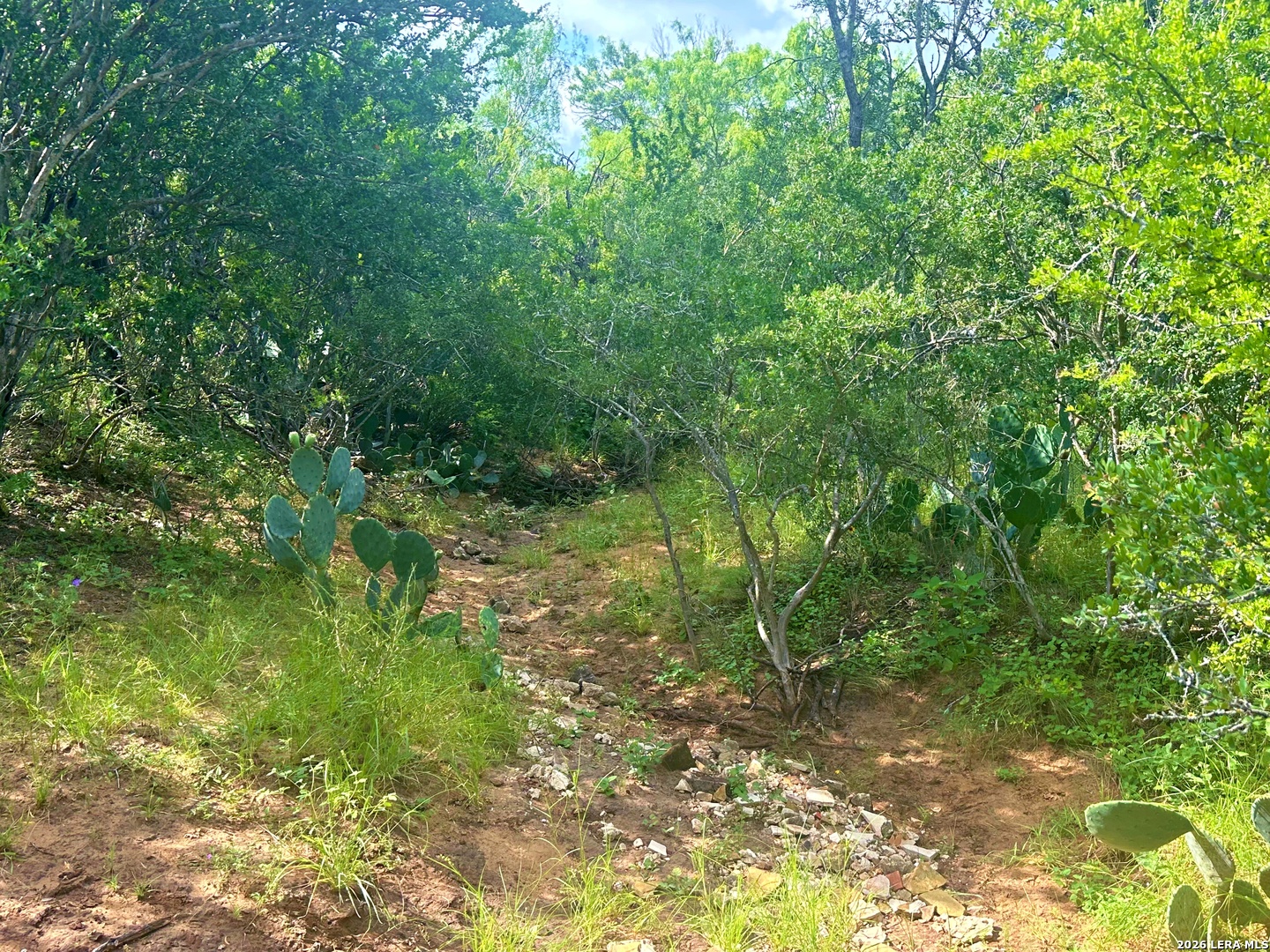 830 County Road 339, Jourdanton, TX 78026