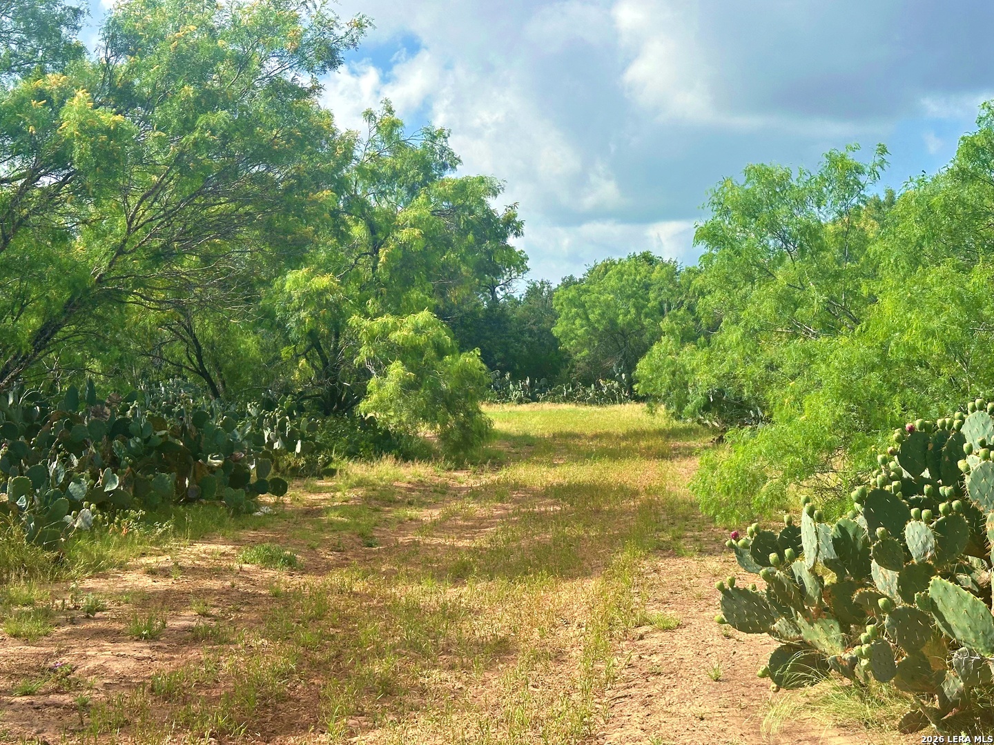 830 County Road 339, Jourdanton, TX 78026