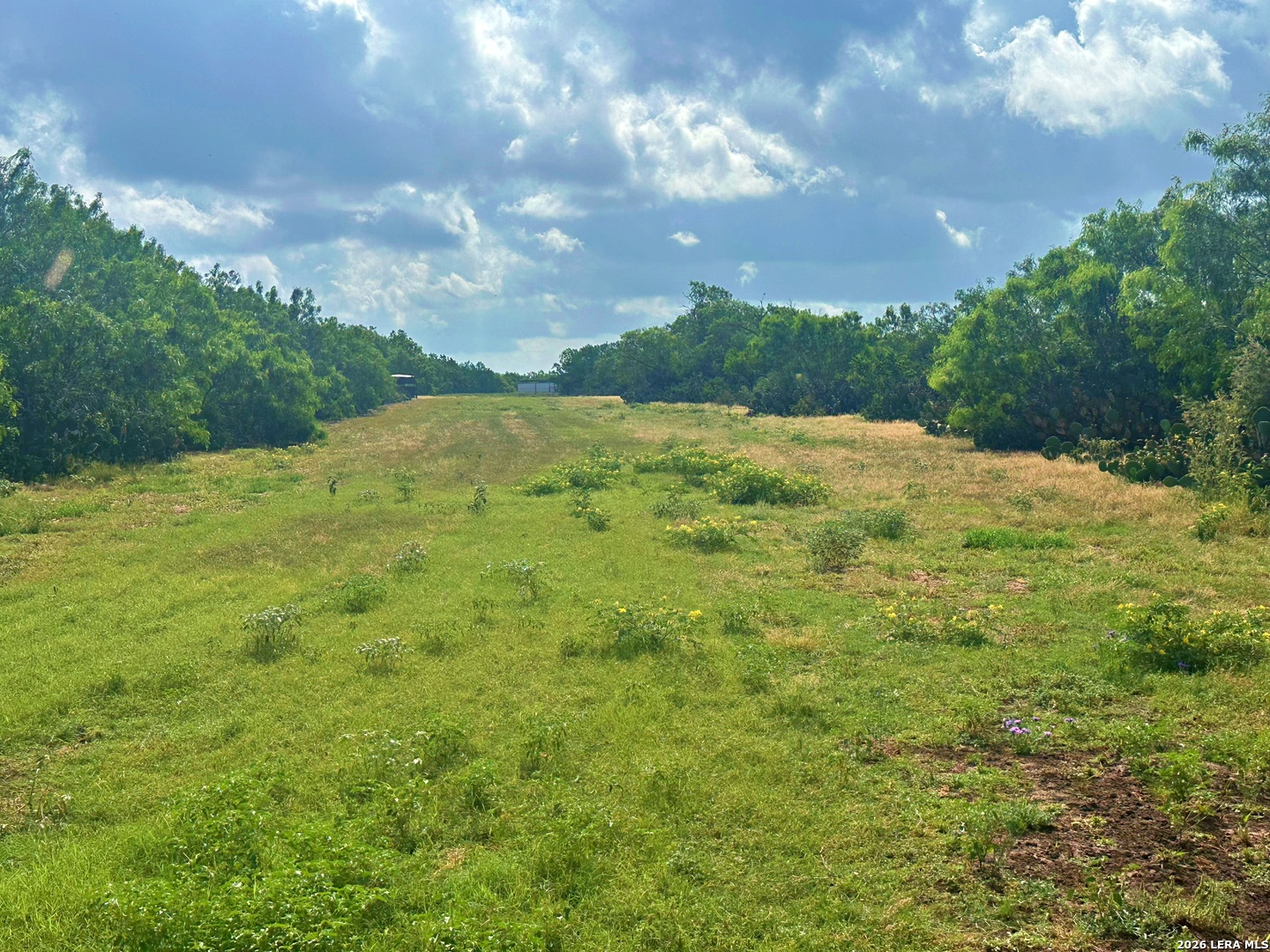 830 County Road 339, Jourdanton, TX 78026