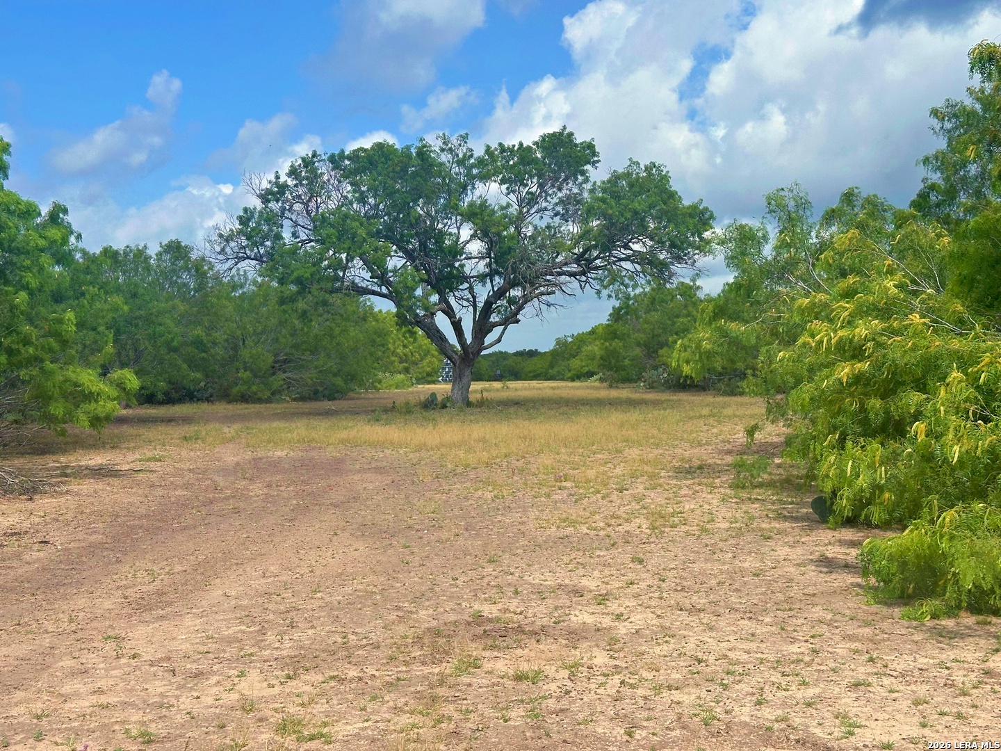 830 County Road 339, Jourdanton, TX 78026