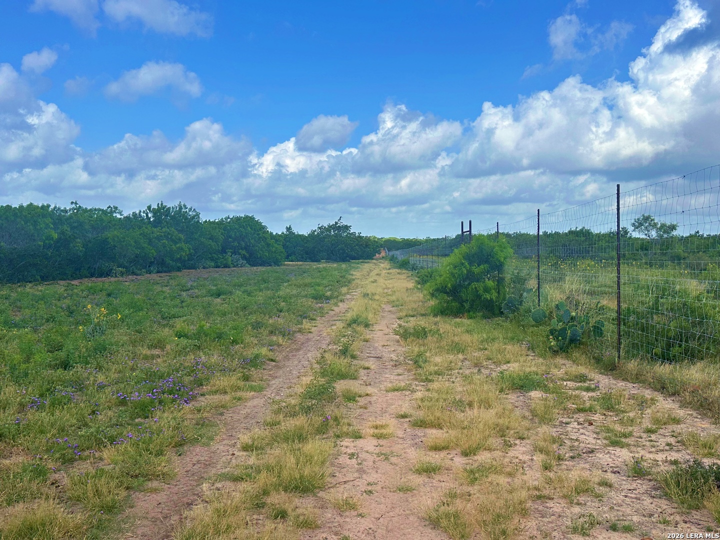 830 County Road 339, Jourdanton, TX 78026