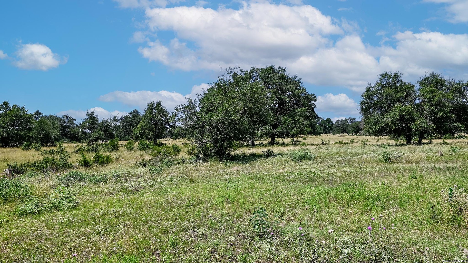 1135 Highland Oaks, New Braunfels, TX 78132