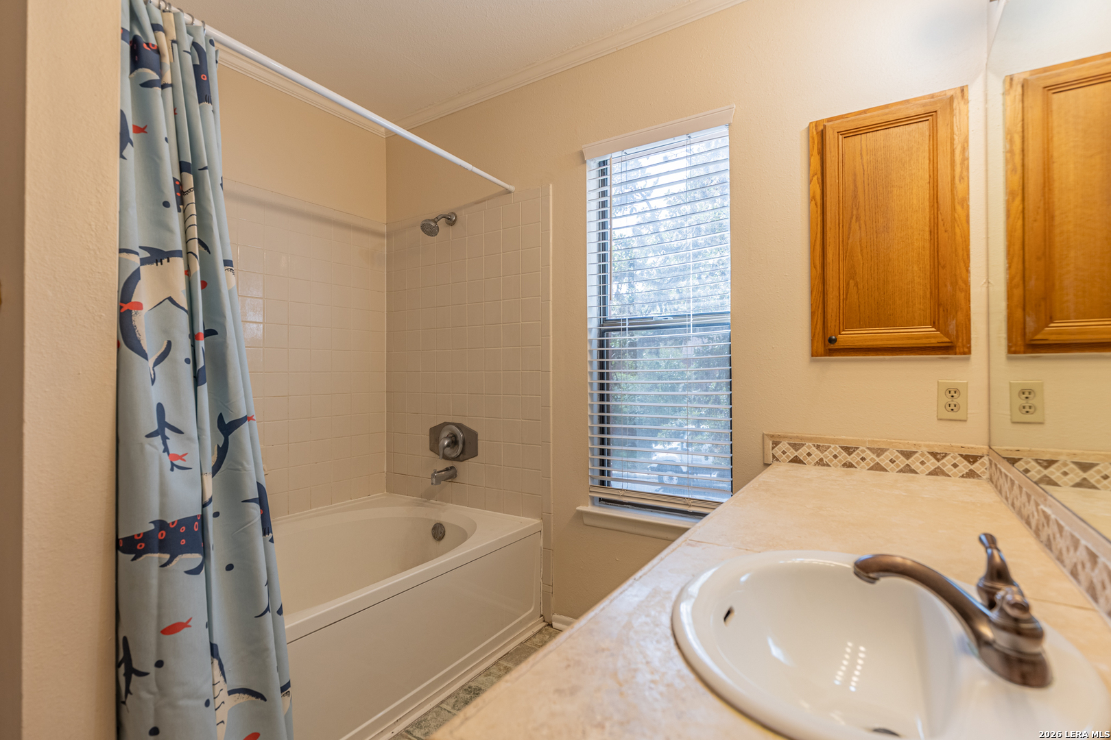 7515 RAINLILLY CV, San Antonio, TX 78249