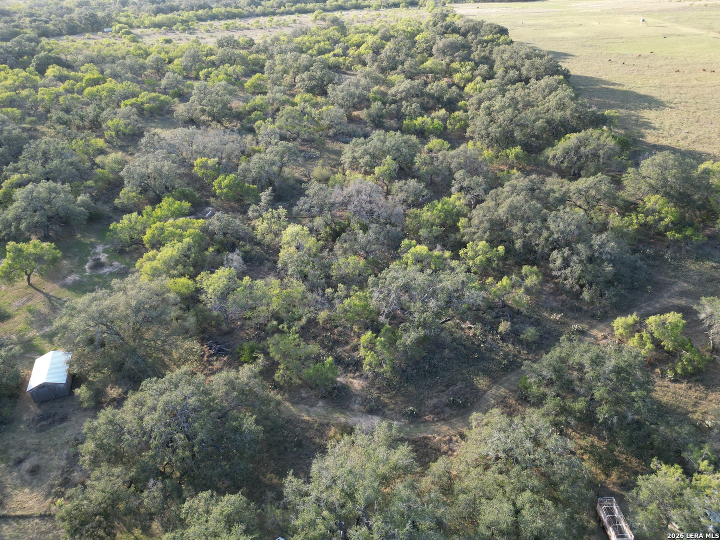 2525 TOMBLIN RD, Bigfoot, TX 78005
